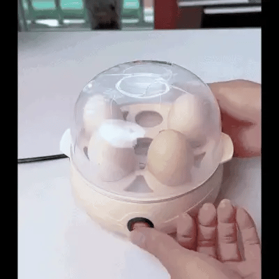 Multifunction Egg Cooker